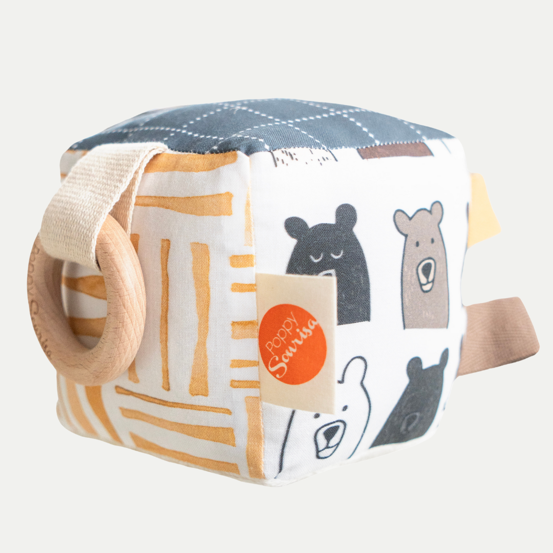 SOFT SENSORY CUBE | BEAR HUNT